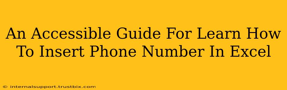 An Accessible Guide For Learn How To Insert Phone Number In Excel