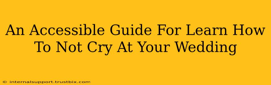 An Accessible Guide For Learn How To Not Cry At Your Wedding