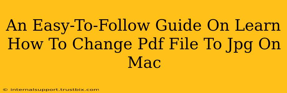 An Easy-To-Follow Guide On Learn How To Change Pdf File To Jpg On Mac