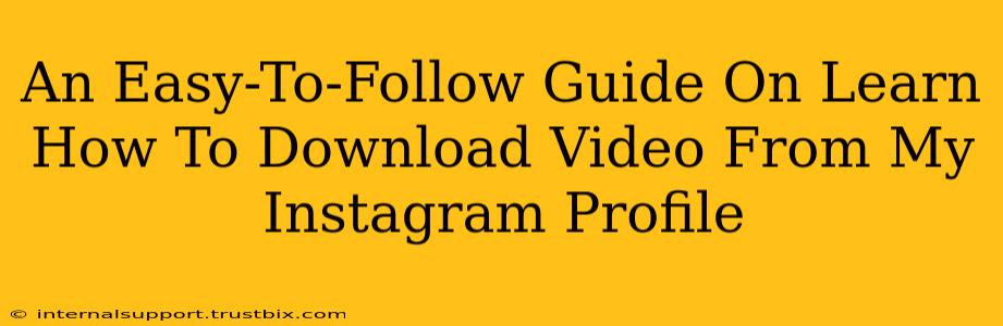 An Easy-To-Follow Guide On Learn How To Download Video From My Instagram Profile