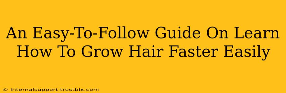 An Easy-To-Follow Guide On Learn How To Grow Hair Faster Easily