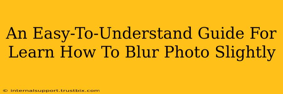 An Easy-To-Understand Guide For Learn How To Blur Photo Slightly