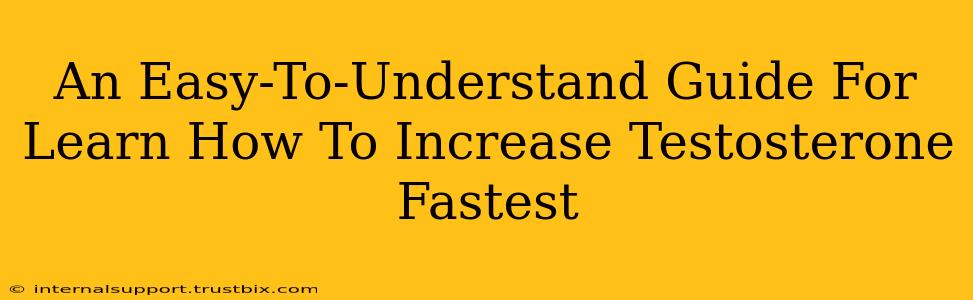 An Easy-To-Understand Guide For Learn How To Increase Testosterone Fastest