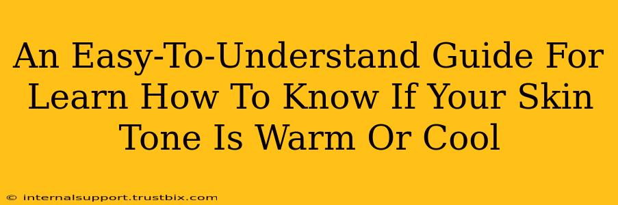 An Easy-To-Understand Guide For Learn How To Know If Your Skin Tone Is Warm Or Cool