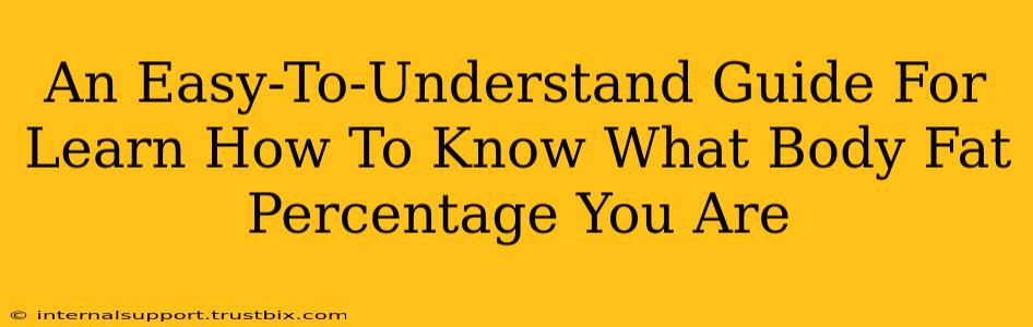 An Easy-To-Understand Guide For Learn How To Know What Body Fat Percentage You Are