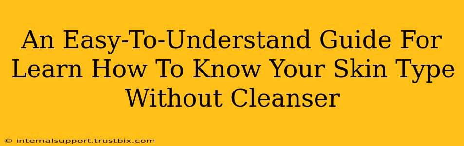 An Easy-To-Understand Guide For Learn How To Know Your Skin Type Without Cleanser