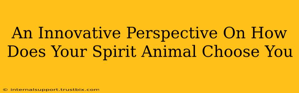 An Innovative Perspective On How Does Your Spirit Animal Choose You