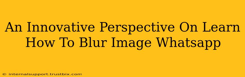 An Innovative Perspective On Learn How To Blur Image Whatsapp