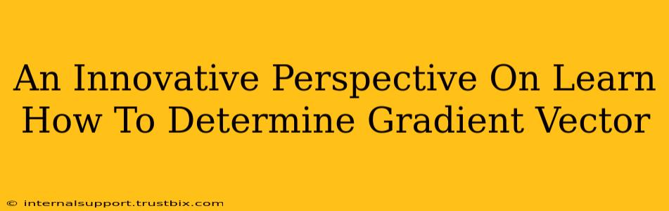 An Innovative Perspective On Learn How To Determine Gradient Vector