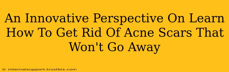 An Innovative Perspective On Learn How To Get Rid Of Acne Scars That Won't Go Away