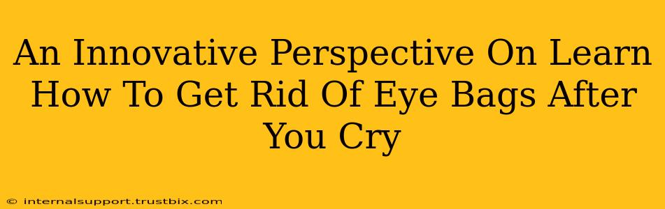 An Innovative Perspective On Learn How To Get Rid Of Eye Bags After You Cry