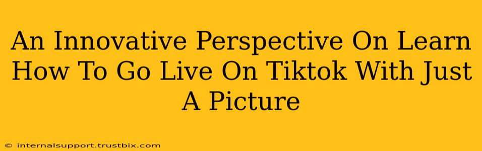 An Innovative Perspective On Learn How To Go Live On Tiktok With Just A Picture