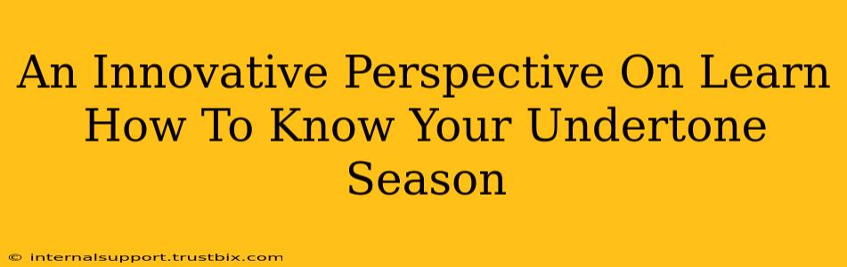 An Innovative Perspective On Learn How To Know Your Undertone Season