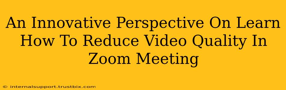 An Innovative Perspective On Learn How To Reduce Video Quality In Zoom Meeting