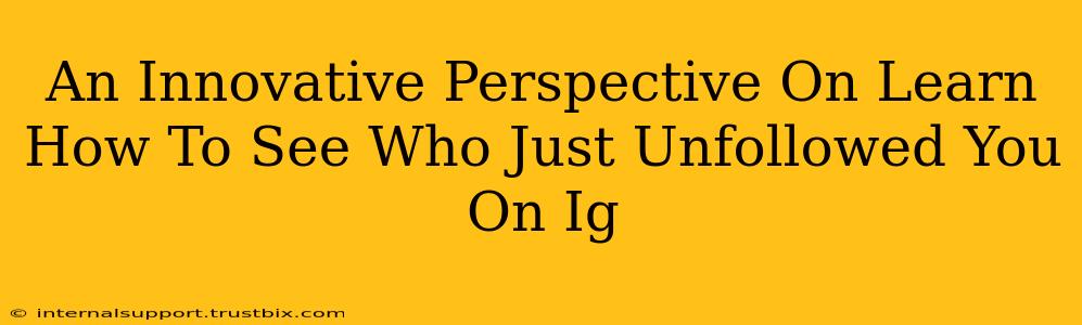 An Innovative Perspective On Learn How To See Who Just Unfollowed You On Ig