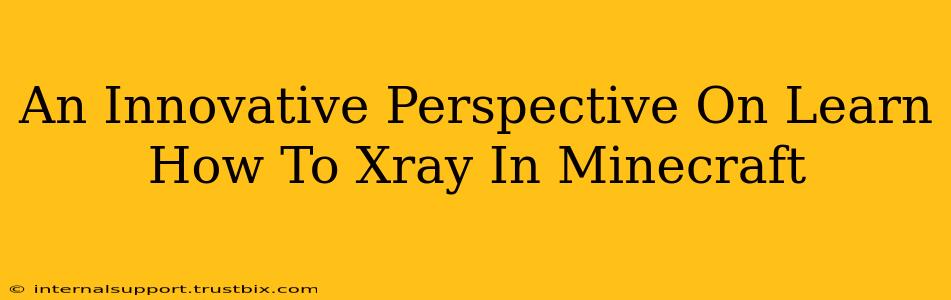 An Innovative Perspective On Learn How To Xray In Minecraft