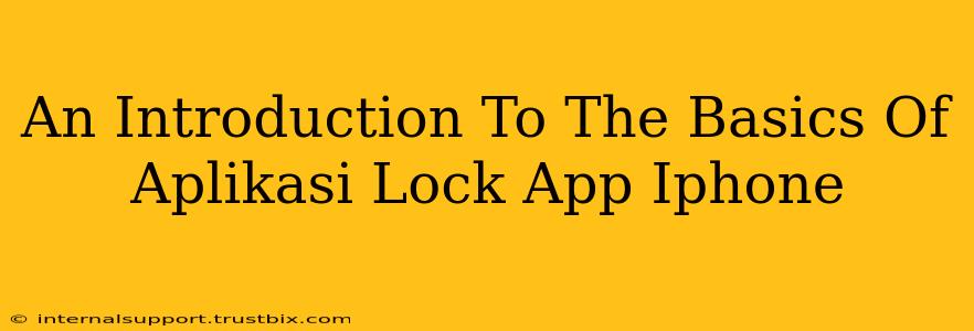 An Introduction To The Basics Of Aplikasi Lock App Iphone