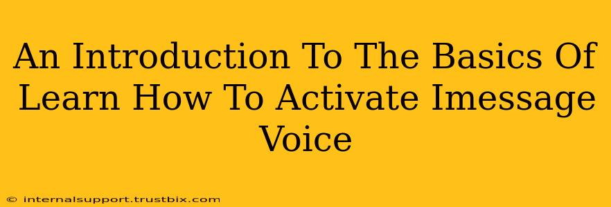 An Introduction To The Basics Of Learn How To Activate Imessage Voice