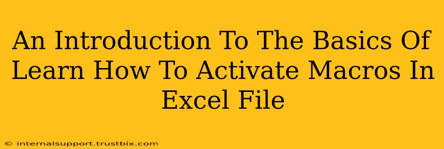 An Introduction To The Basics Of Learn How To Activate Macros In Excel File