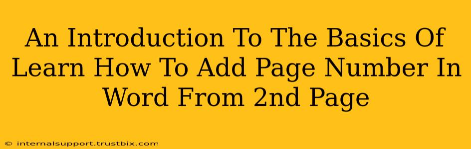 An Introduction To The Basics Of Learn How To Add Page Number In Word From 2nd Page