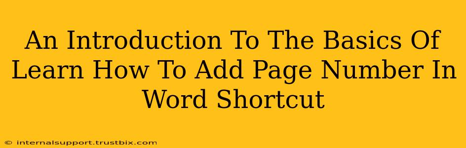 An Introduction To The Basics Of Learn How To Add Page Number In Word Shortcut