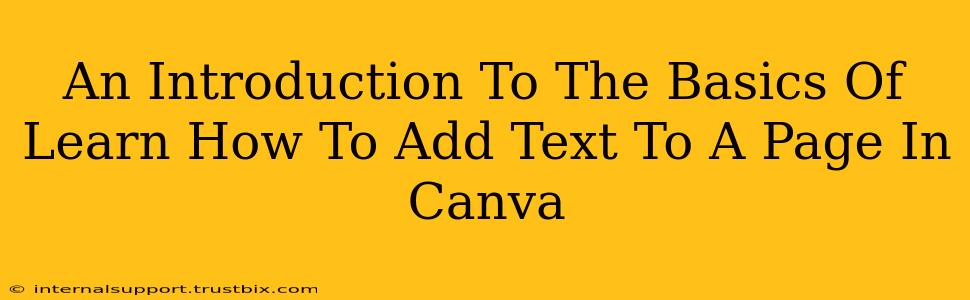 An Introduction To The Basics Of Learn How To Add Text To A Page In Canva