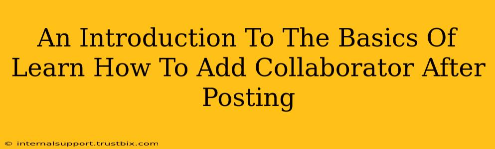 An Introduction To The Basics Of Learn How To Add Collaborator After Posting