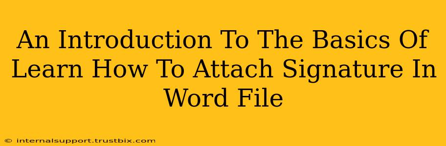 An Introduction To The Basics Of Learn How To Attach Signature In Word File