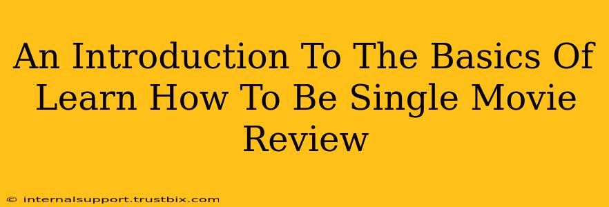 An Introduction To The Basics Of Learn How To Be Single Movie Review