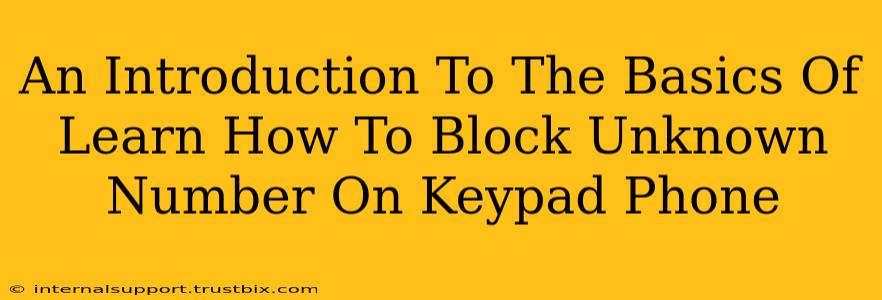 An Introduction To The Basics Of Learn How To Block Unknown Number On Keypad Phone