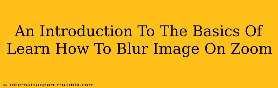 An Introduction To The Basics Of Learn How To Blur Image On Zoom