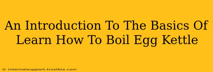 An Introduction To The Basics Of Learn How To Boil Egg Kettle