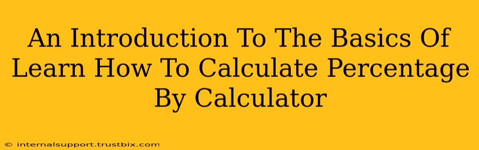 An Introduction To The Basics Of Learn How To Calculate Percentage By Calculator