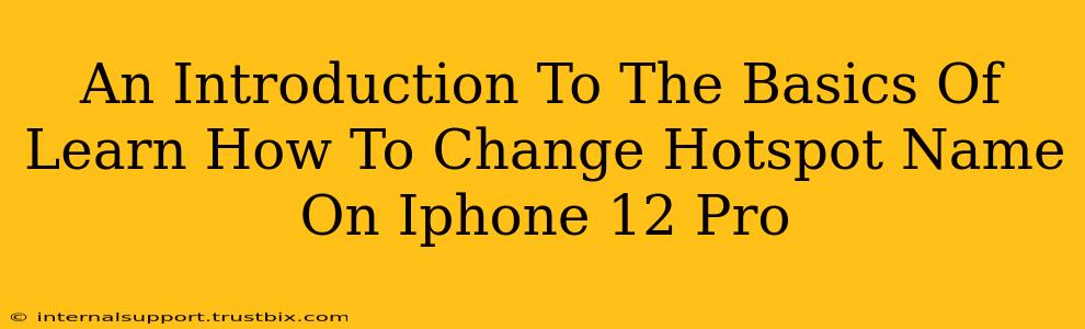 An Introduction To The Basics Of Learn How To Change Hotspot Name On Iphone 12 Pro