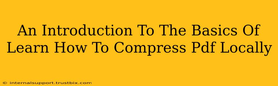 An Introduction To The Basics Of Learn How To Compress Pdf Locally