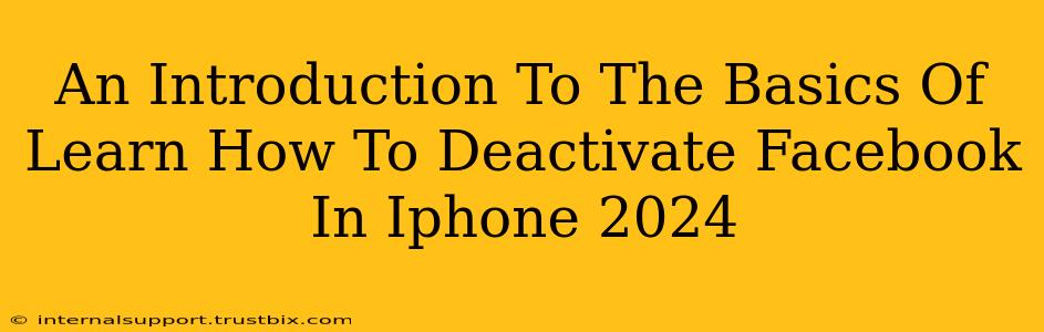 An Introduction To The Basics Of Learn How To Deactivate Facebook In Iphone 2024