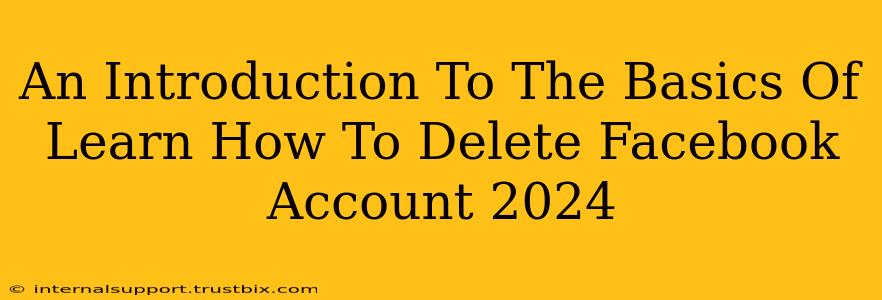 An Introduction To The Basics Of Learn How To Delete Facebook Account 2024