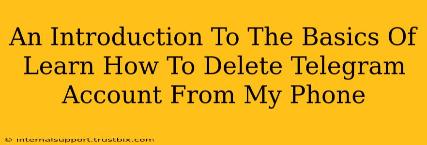 An Introduction To The Basics Of Learn How To Delete Telegram Account From My Phone