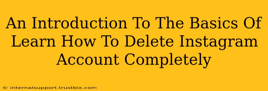 An Introduction To The Basics Of Learn How To Delete Instagram Account Completely