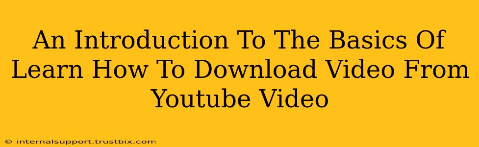 An Introduction To The Basics Of Learn How To Download Video From Youtube Video