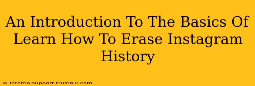 An Introduction To The Basics Of Learn How To Erase Instagram History