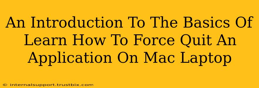 An Introduction To The Basics Of Learn How To Force Quit An Application On Mac Laptop