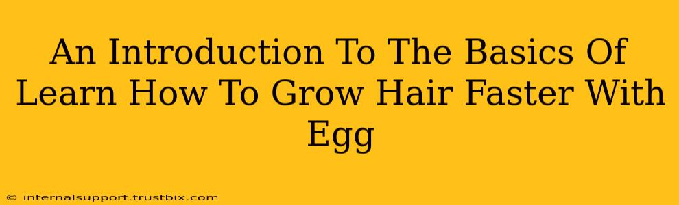 An Introduction To The Basics Of Learn How To Grow Hair Faster With Egg