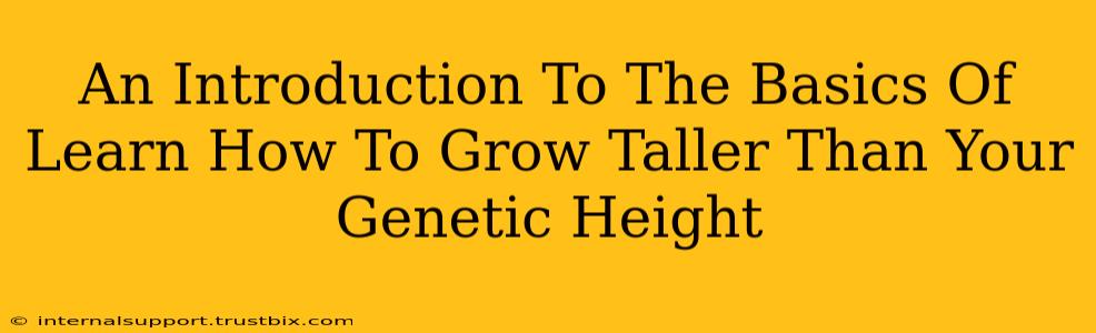 An Introduction To The Basics Of Learn How To Grow Taller Than Your Genetic Height