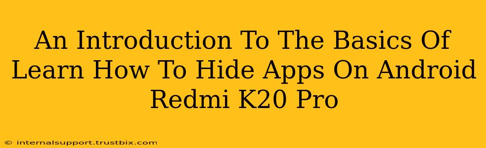 An Introduction To The Basics Of Learn How To Hide Apps On Android Redmi K20 Pro