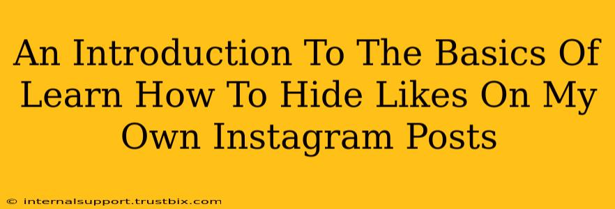 An Introduction To The Basics Of Learn How To Hide Likes On My Own Instagram Posts