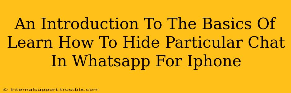 An Introduction To The Basics Of Learn How To Hide Particular Chat In Whatsapp For Iphone