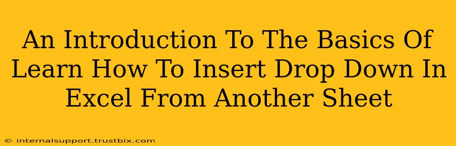 An Introduction To The Basics Of Learn How To Insert Drop Down In Excel From Another Sheet