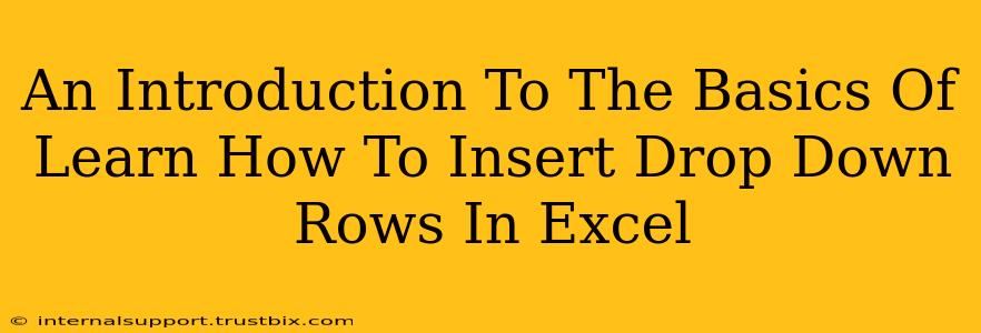 An Introduction To The Basics Of Learn How To Insert Drop Down Rows In Excel