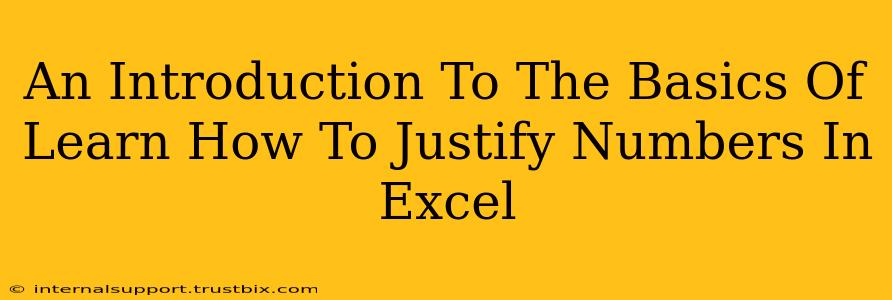 An Introduction To The Basics Of Learn How To Justify Numbers In Excel